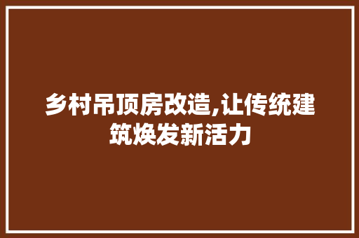 乡村吊顶房改造,让传统建筑焕发新活力