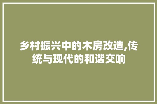 乡村振兴中的木房改造,传统与现代的和谐交响，乡村振兴中的木房改造,传统与现代的和谐交响。