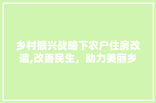 乡村振兴战略下农户住房改造,改善民生，助力美丽乡村建设