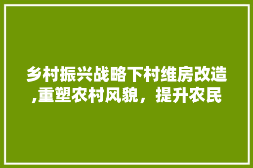 乡村振兴战略下村维房改造,重塑农村风貌，提升农民生活品质
