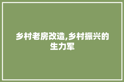 乡村老房改造,乡村振兴的生力军 二手房