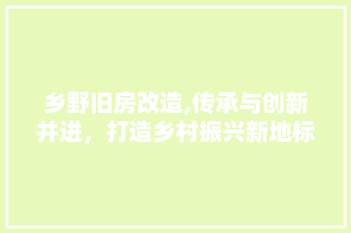 乡野旧房改造,传承与创新并进，打造乡村振兴新地标