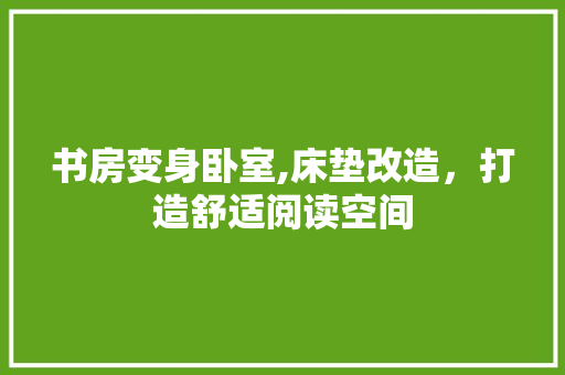 书房变身卧室,床垫改造，打造舒适阅读空间