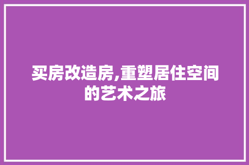 买房改造房,重塑居住空间的艺术之旅 二手房