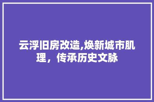 云浮旧房改造,焕新城市肌理，传承历史文脉 二手房