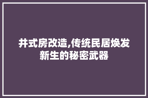 井式房改造,传统民居焕发新生的秘密武器 家居装饰