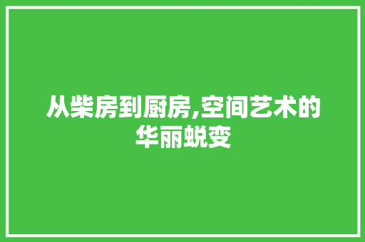 从柴房到厨房,空间艺术的华丽蜕变，柴火空间。