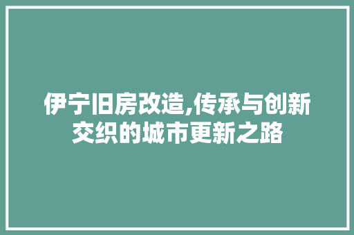 伊宁旧房改造,传承与创新交织的城市更新之路