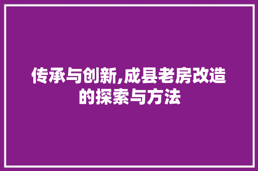 传承与创新,成县老房改造的探索与方法