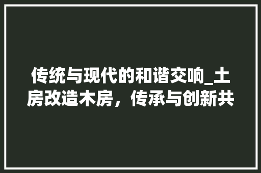 传统与现代的和谐交响_土房改造木房，传承与创新共舞