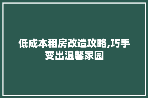 低成本租房改造攻略,巧手变出温馨家园