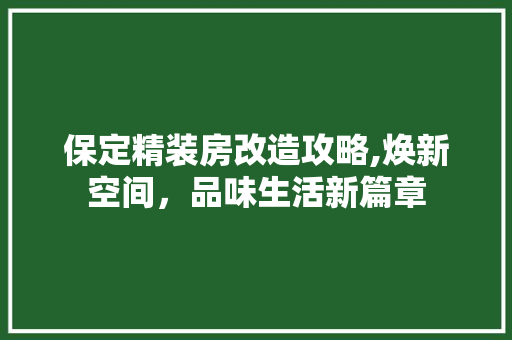 保定精装房改造攻略,焕新空间，品味生活新篇章