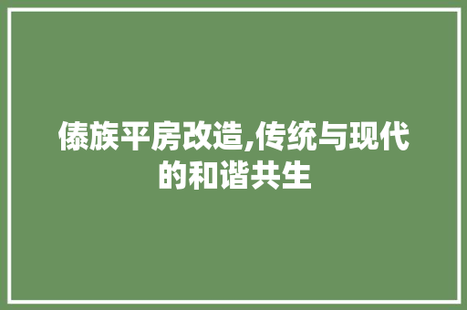 傣族平房改造,传统与现代的和谐共生 家居装饰