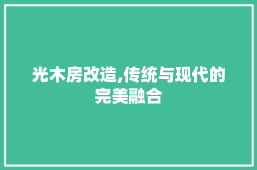 光木房改造,传统与现代的完美融合 家居设计