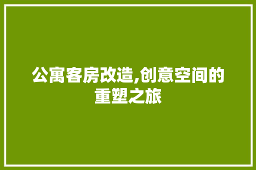 公寓客房改造,创意空间的重塑之旅，公寓式客房。