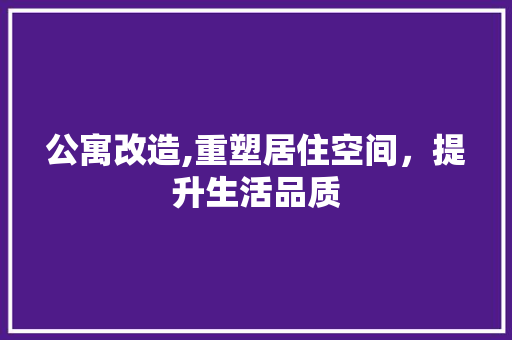 公寓改造,重塑居住空间，提升生活品质 二手房
