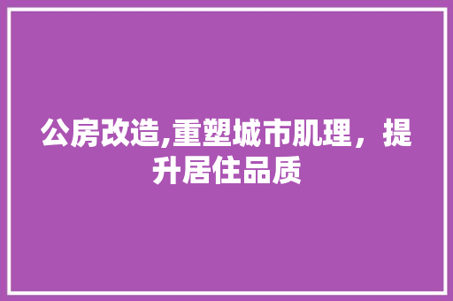 公房改造,重塑城市肌理，提升居住品质