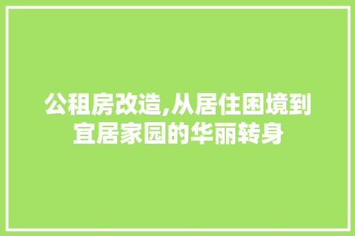公租房改造,从居住困境到宜居家园的华丽转身