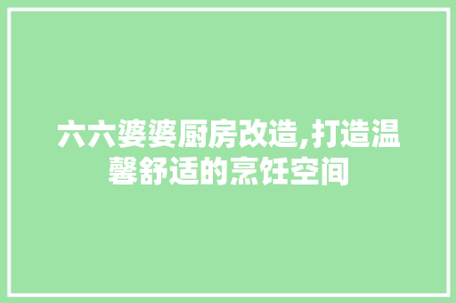 六六婆婆厨房改造,打造温馨舒适的烹饪空间 家居装饰