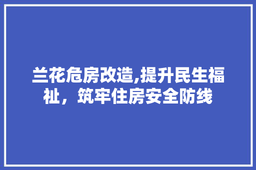 兰花危房改造,提升民生福祉，筑牢住房安全防线