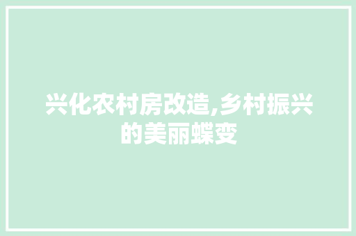 兴化农村房改造,乡村振兴的美丽蝶变