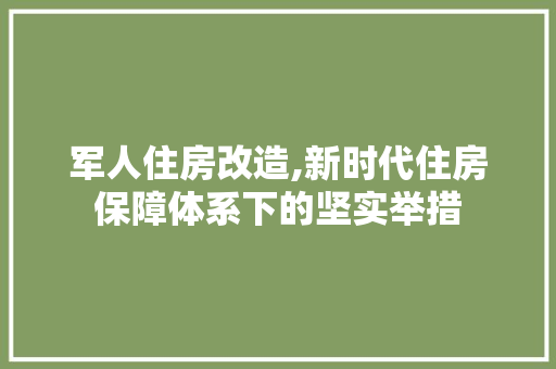 军人住房改造,新时代住房保障体系下的坚实举措，改善军人住房条件。