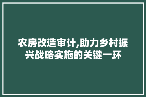 农房改造审计,助力乡村振兴战略实施的关键一环