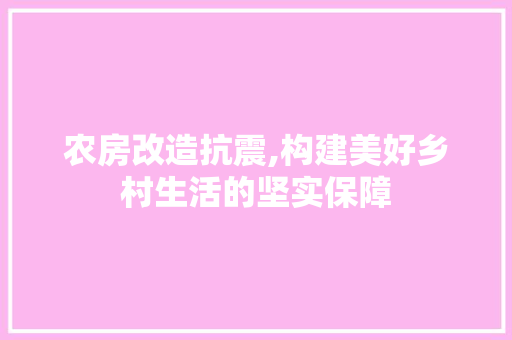 农房改造抗震,构建美好乡村生活的坚实保障 二手房