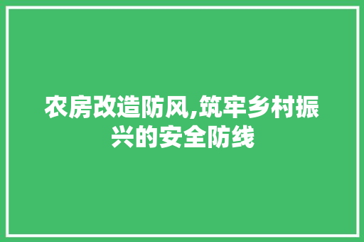 农房改造防风,筑牢乡村振兴的安全防线 装修知识
