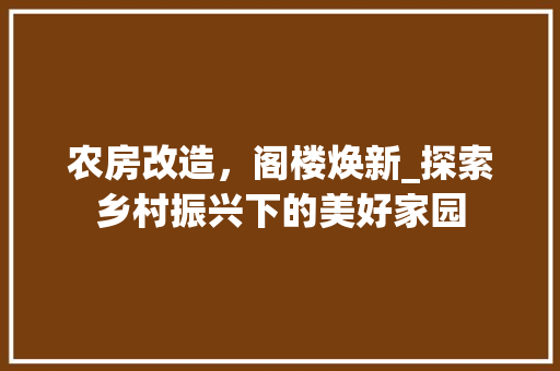 农房改造，阁楼焕新_探索乡村振兴下的美好家园