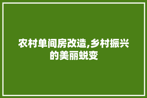 农村单间房改造,乡村振兴的美丽蜕变 二手房