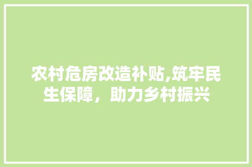 农村危房改造补贴,筑牢民生保障，助力乡村振兴