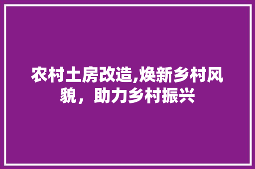 农村土房改造,焕新乡村风貌，助力乡村振兴 装修知识
