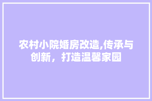 农村小院婚房改造,传承与创新，打造温馨家园 家居设计
