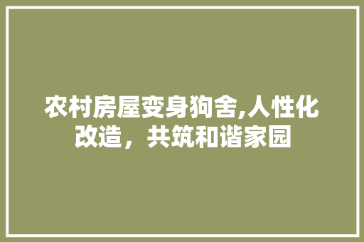 农村房屋变身狗舍,人性化改造，共筑和谐家园