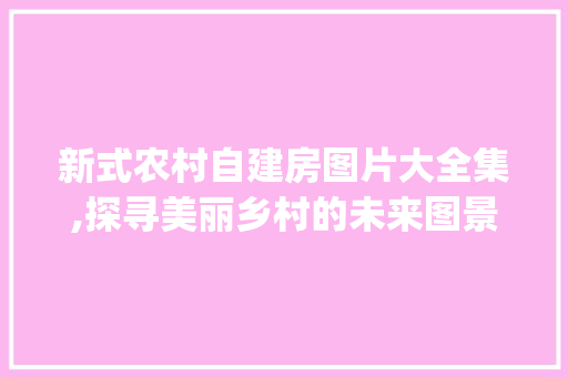 新式农村自建房图片大全集,探寻美丽乡村的未来图景_新式农村自建房图片大全集