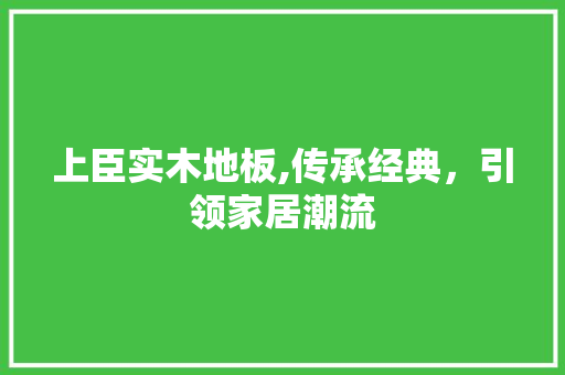 上臣实木地板,传承经典，引领家居潮流