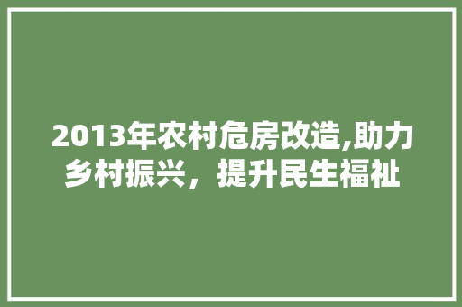 2013年农村危房改造,助力乡村振兴，提升民生福祉