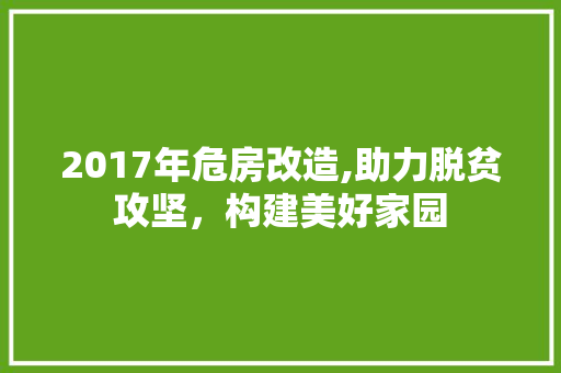 2017年危房改造,助力脱贫攻坚，构建美好家园