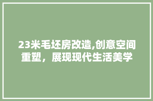 23米毛坯房改造,创意空间重塑，展现现代生活美学