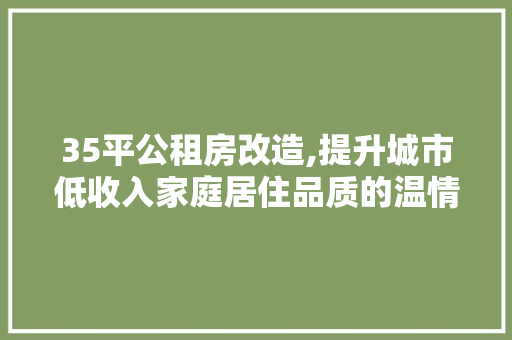 35平公租房改造,提升城市低收入家庭居住品质的温情方法，公租房35平米户型图。