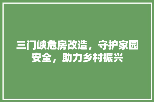 三门峡危房改造，守护家园安全，助力乡村振兴