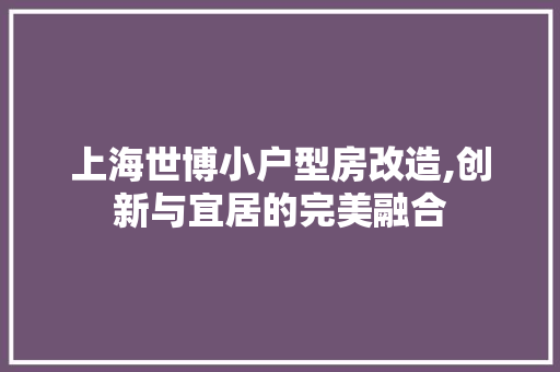 上海世博小户型房改造,创新与宜居的完美融合