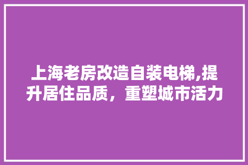 上海老房改造自装电梯,提升居住品质，重塑城市活力