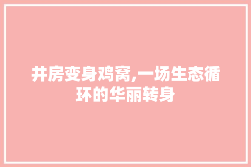 井房变身鸡窝,一场生态循环的华丽转身