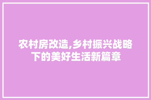 农村房改造,乡村振兴战略下的美好生活新篇章