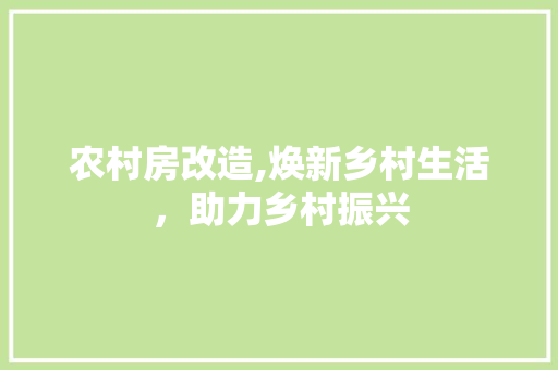 农村房改造,焕新乡村生活，助力乡村振兴