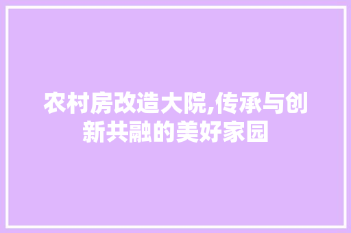 农村房改造大院,传承与创新共融的美好家园