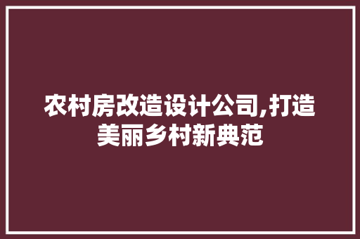 农村房改造设计公司,打造美丽乡村新典范