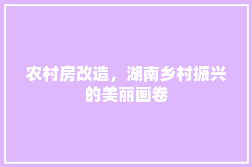 农村房改造，湖南乡村振兴的美丽画卷